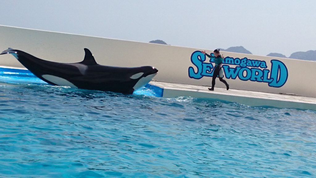 鴨川シーワールド