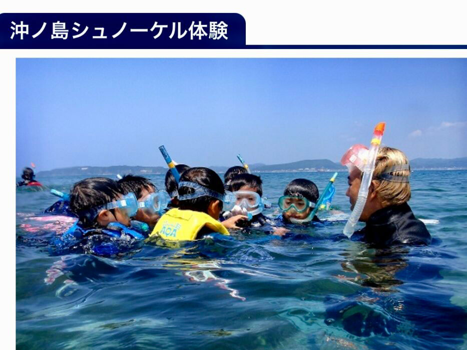 たてやま・海辺の鑑定団