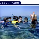 たてやま・海辺の鑑定団